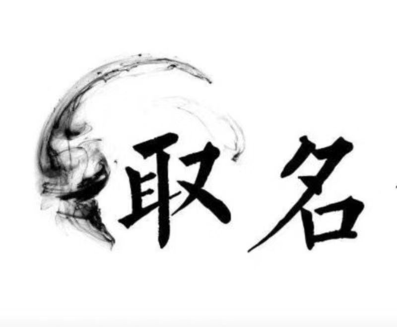  卢氏宝宝取名 大师一对一人工起名